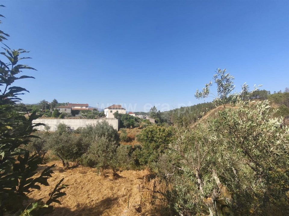 Helårsgrund i Fundao, Castelo Branco - foto 4