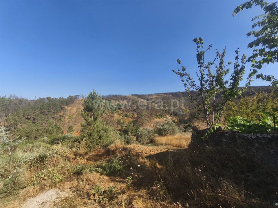 Helårsgrund i Fundao, Castelo Branco - foto 5