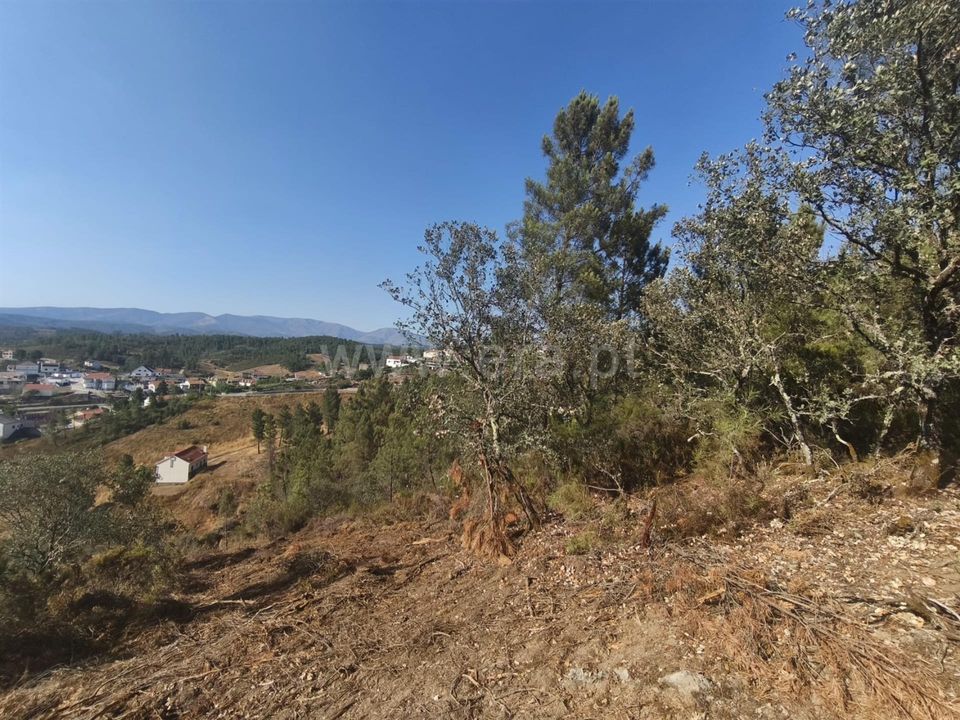 Helårsgrund i Fundao, Castelo Branco - foto 2