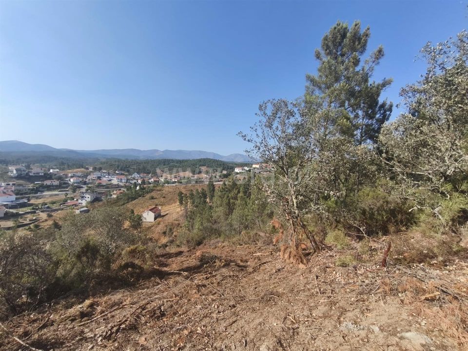 Helårsgrund i Fundao, Castelo Branco - foto 3