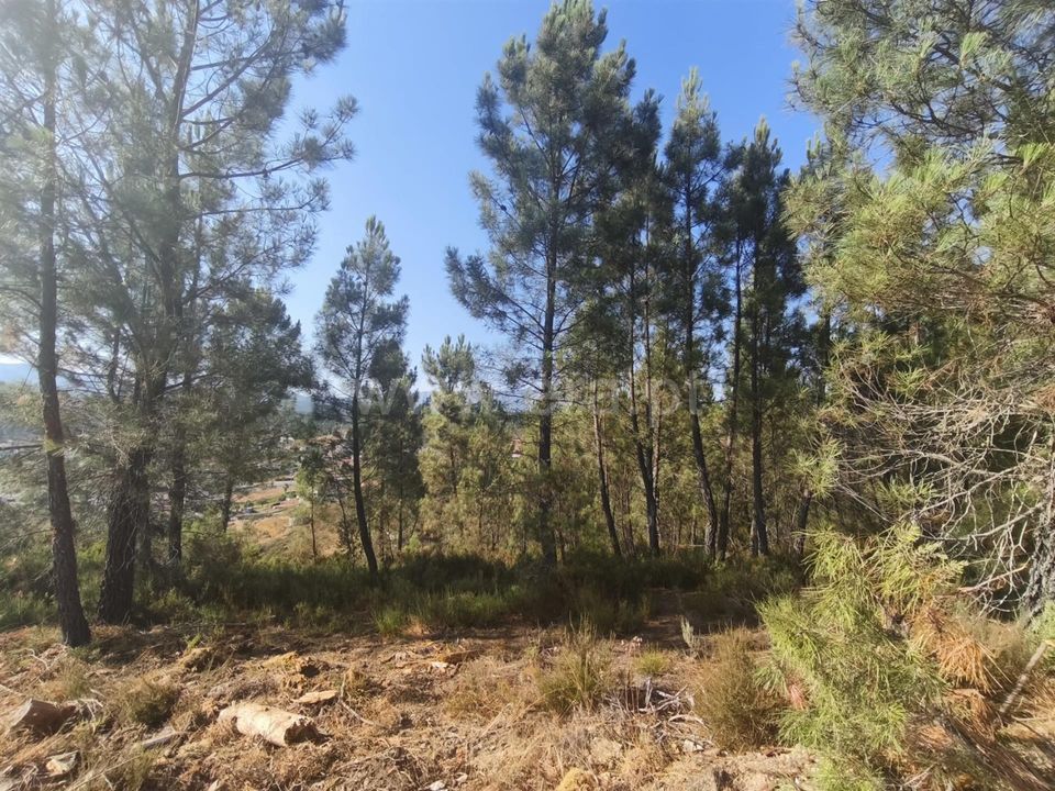 Helårsgrund i Fundao, Castelo Branco - foto 4