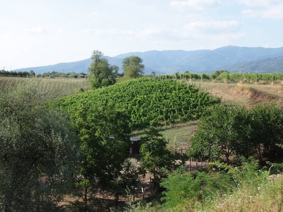 Landejendom i Loro Ciuffenna, Arezzo - foto 4