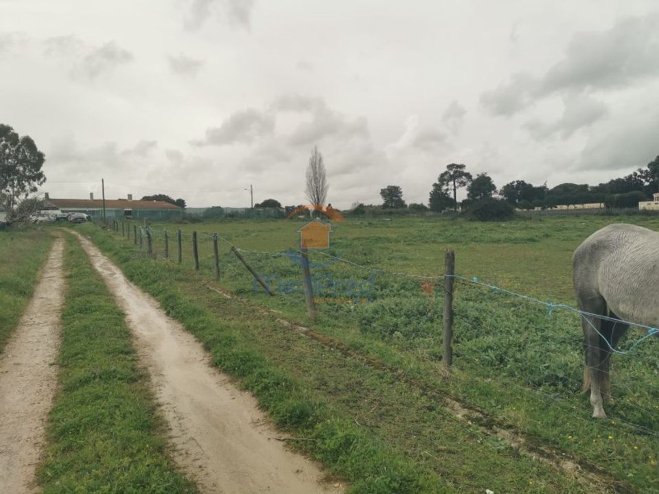 Farm i Palmela, Setubal - foto 2