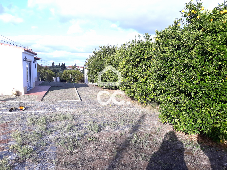 Farm hus i Beringel, Beja - foto 2