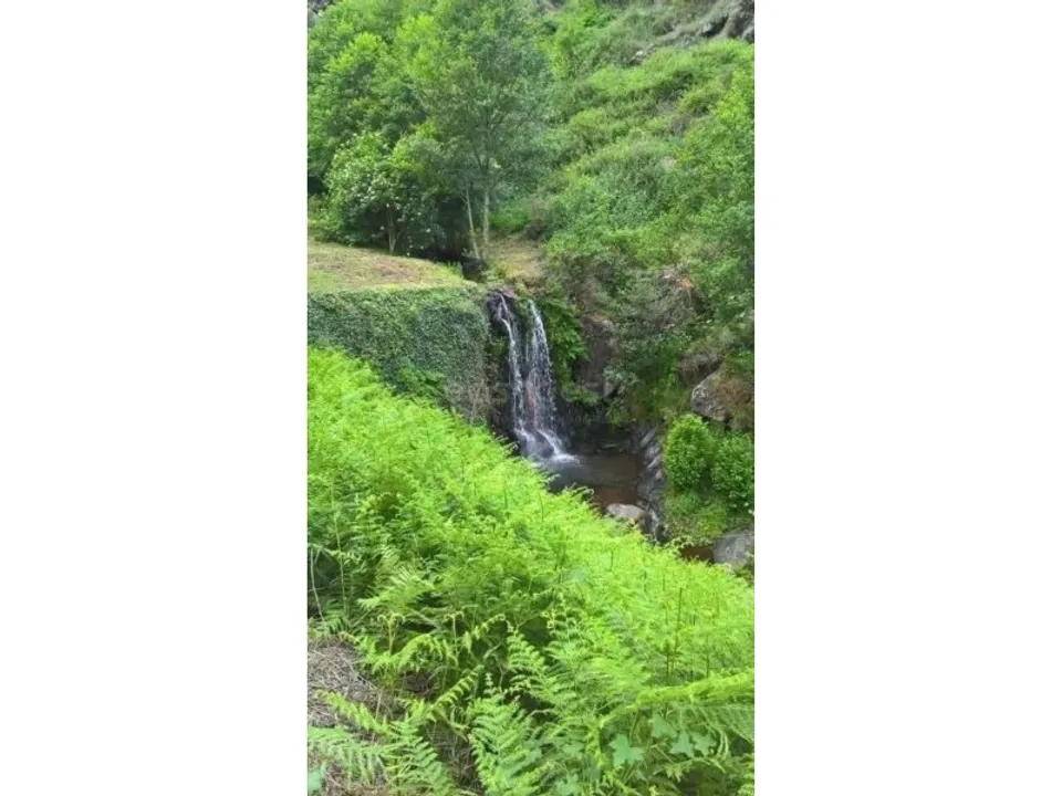 Landejendom i Carvicais, Braganca - foto 2
