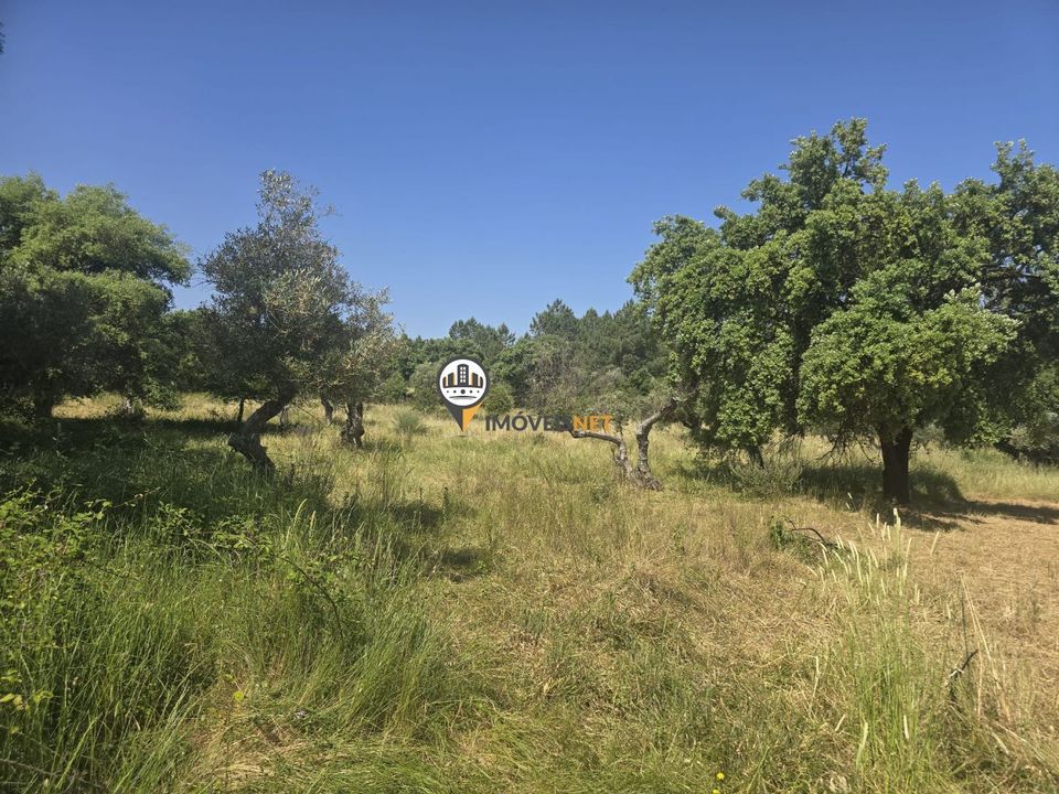 Helårsgrund i Castelo Branco, Castelo Branco - foto 1