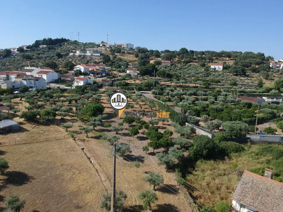 Landejendom i Castelo Branco, Castelo Branco - foto 5