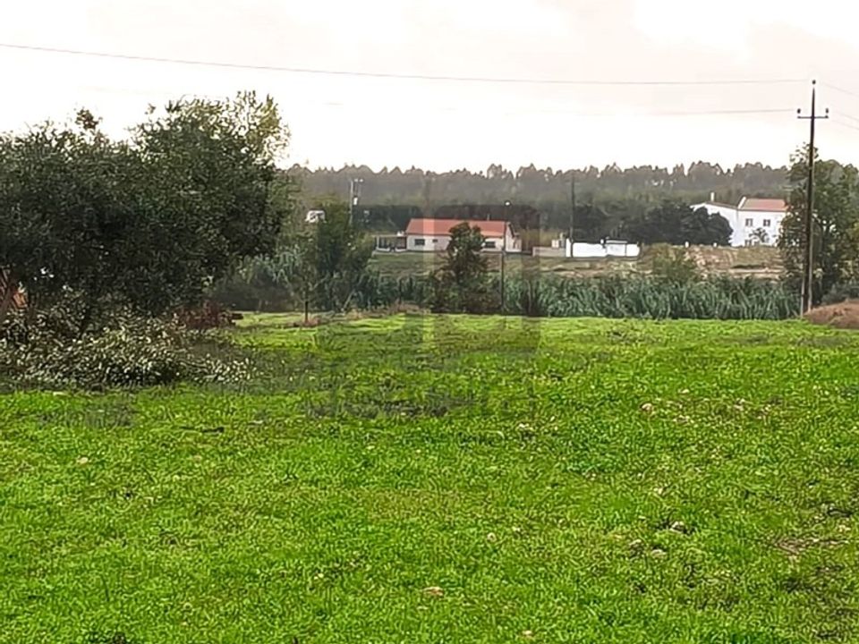 Helårsgrund i Almeirim, Santarem - foto 4