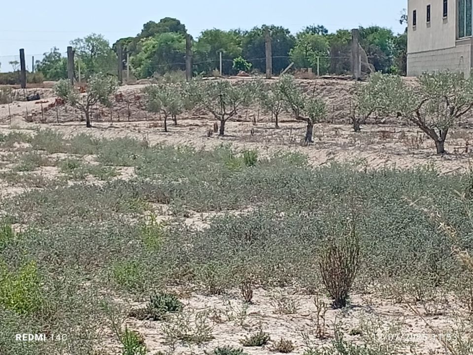 Helårsgrund i La Marina, Alicante - foto 2