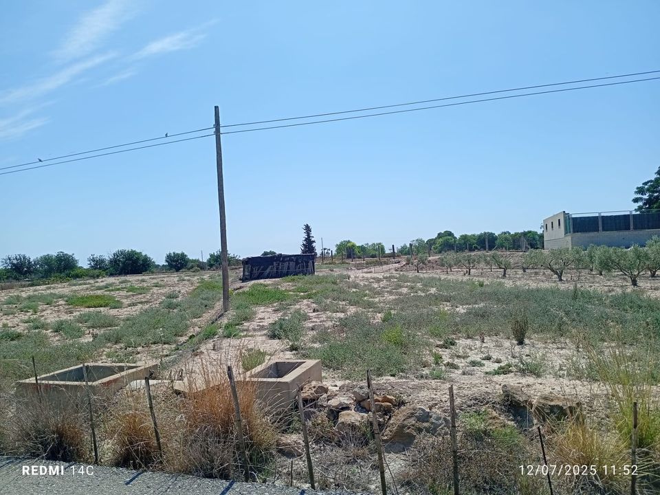 Helårsgrund i La Marina, Alicante - foto 3