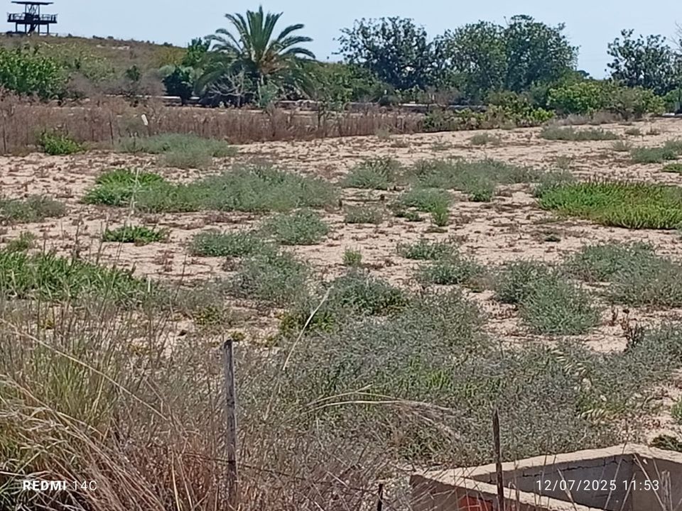 Helårsgrund i La Marina, Alicante - foto 5
