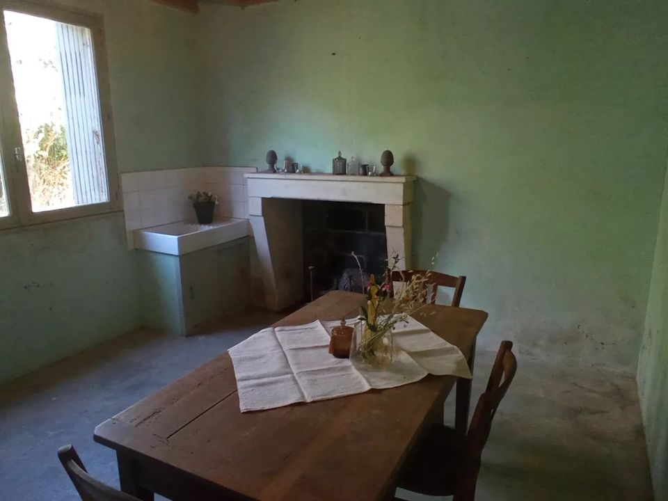 Landsbyhus i Chateau-Garnier, Vienne - foto 4