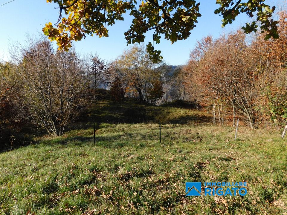 Villa i Borso del Grappa, Treviso - foto 4