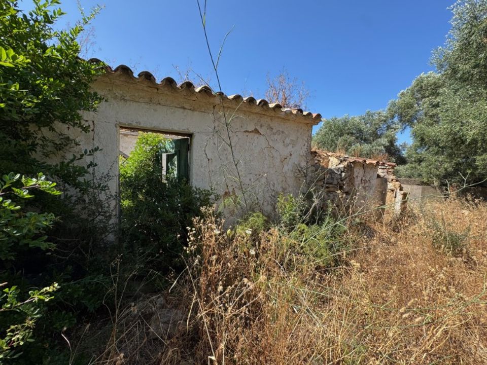 Farm i Moncarapacho, Faro - foto 1