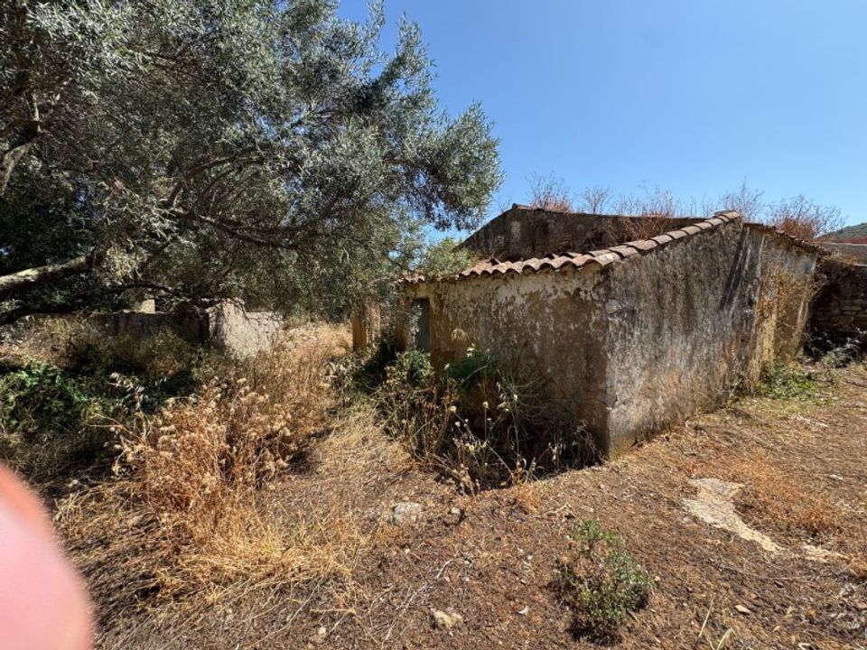Farm i Moncarapacho, Faro - foto 3