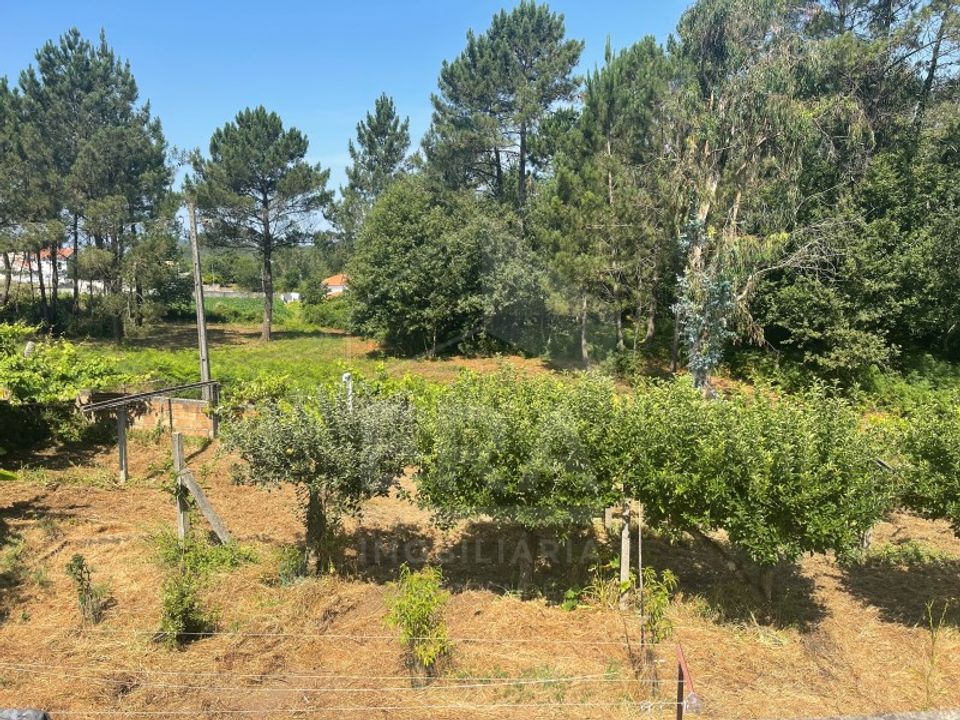 Helårsgrund i Esposende, Braga - foto 4