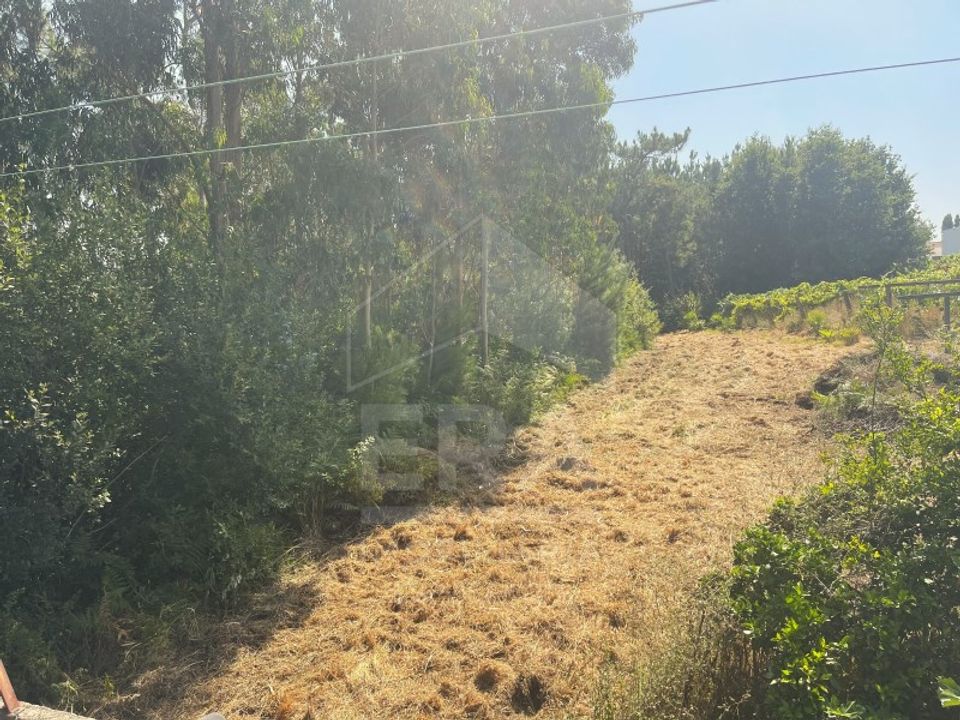 Helårsgrund i Esposende, Braga - foto 5