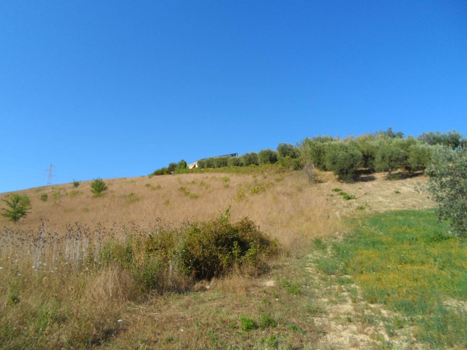 Helårsgrund i Monteprandone, Ascoli Piceno - foto 1