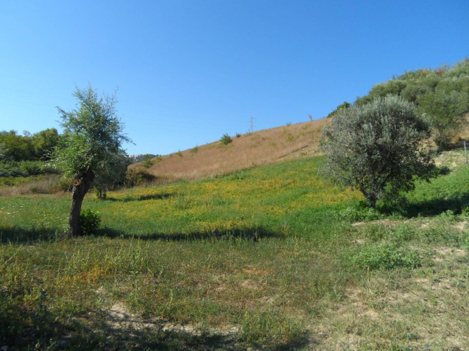 Helårsgrund i Monteprandone, Ascoli Piceno - foto 3