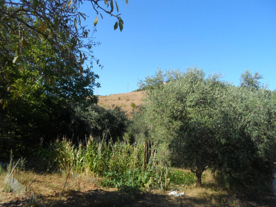 Helårsgrund i Monteprandone, Ascoli Piceno - foto 4