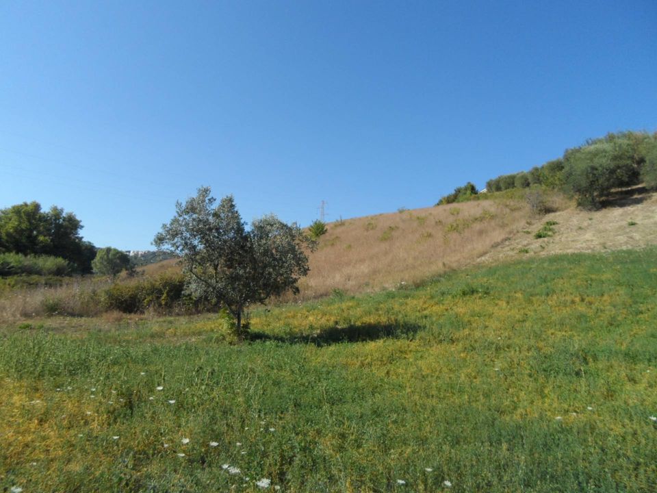 Helårsgrund i Monteprandone, Ascoli Piceno - foto 5