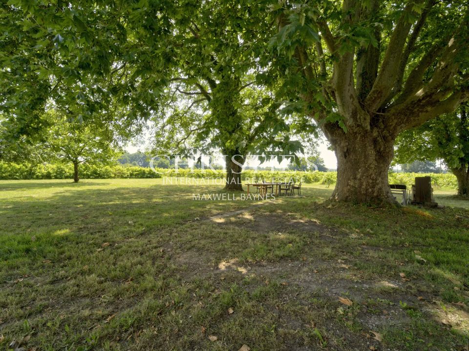 Landejendom i Saint-Pey-de-Castets, Gironde - foto 5