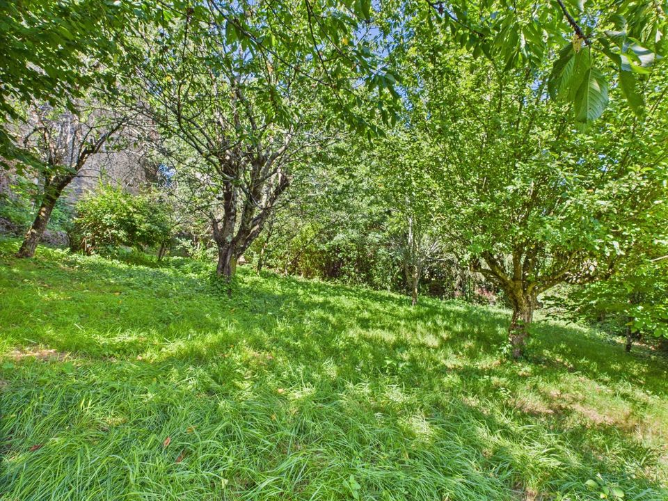 Landsbyhus i Rieupeyroux, Aveyron - foto 2