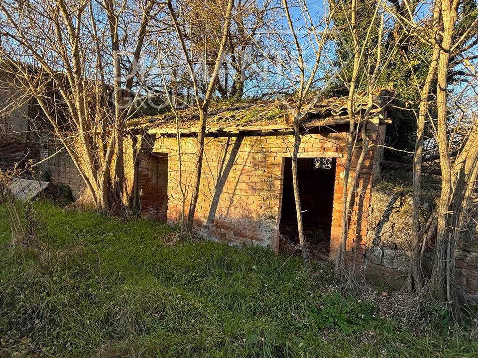 Farm i Acquapendente, Viterbo - foto 4