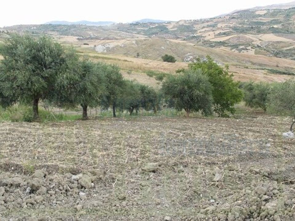 Landejendom i Cianciana, Agrigento - foto 4