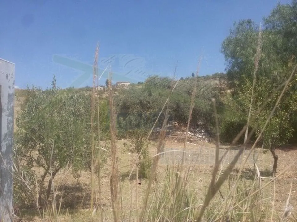 Helårsgrund i Cianciana, Agrigento - foto 2