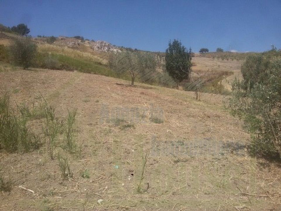 Helårsgrund i Cianciana, Agrigento - foto 4