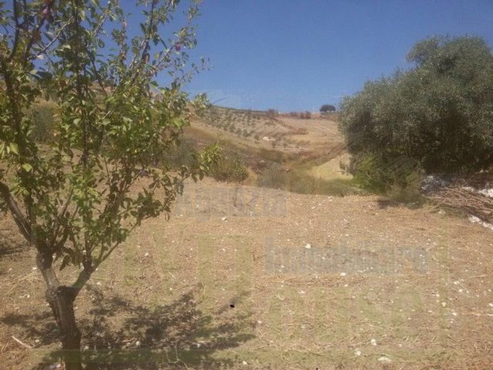 Helårsgrund i Cianciana, Agrigento - foto 5
