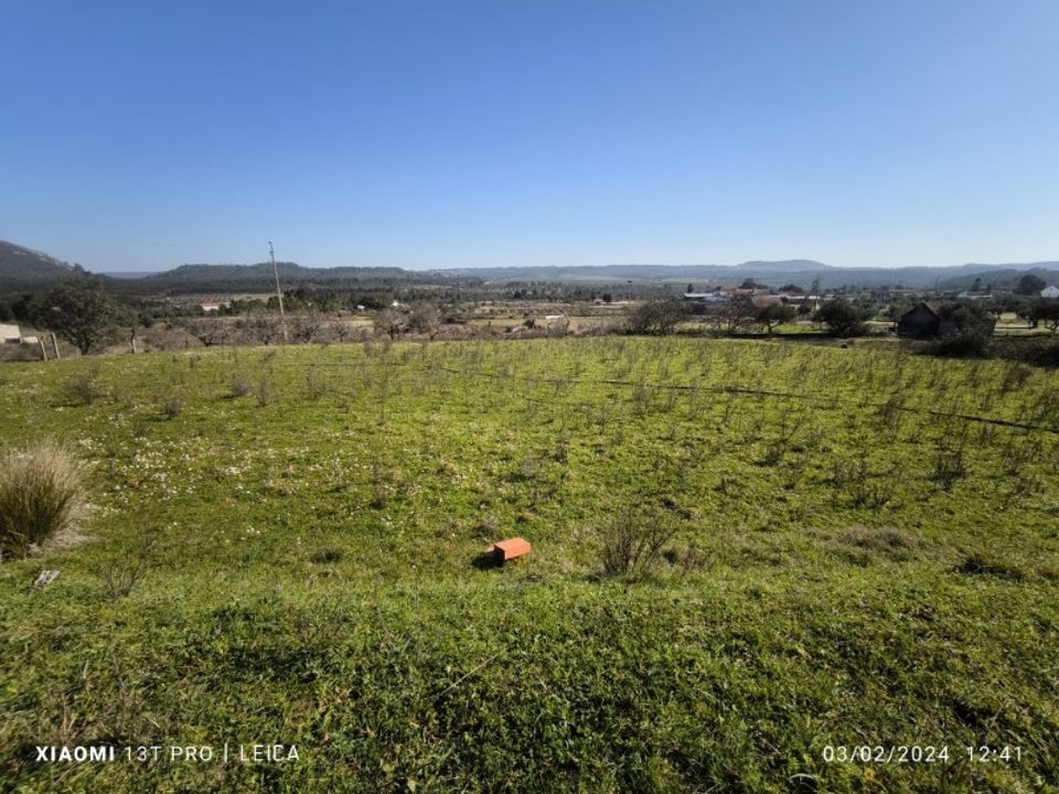 Farm i Castelo Branco, Castelo Branco - foto 4