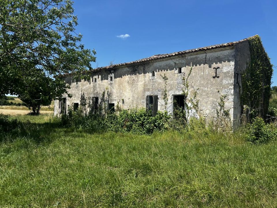 Villa i Saint-Bonnet-Sur-Gironde, Charente-Maritime - foto 1