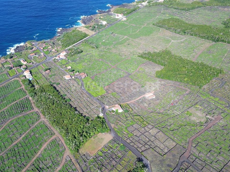 Helårsgrund i Madalena, Pico - foto 1