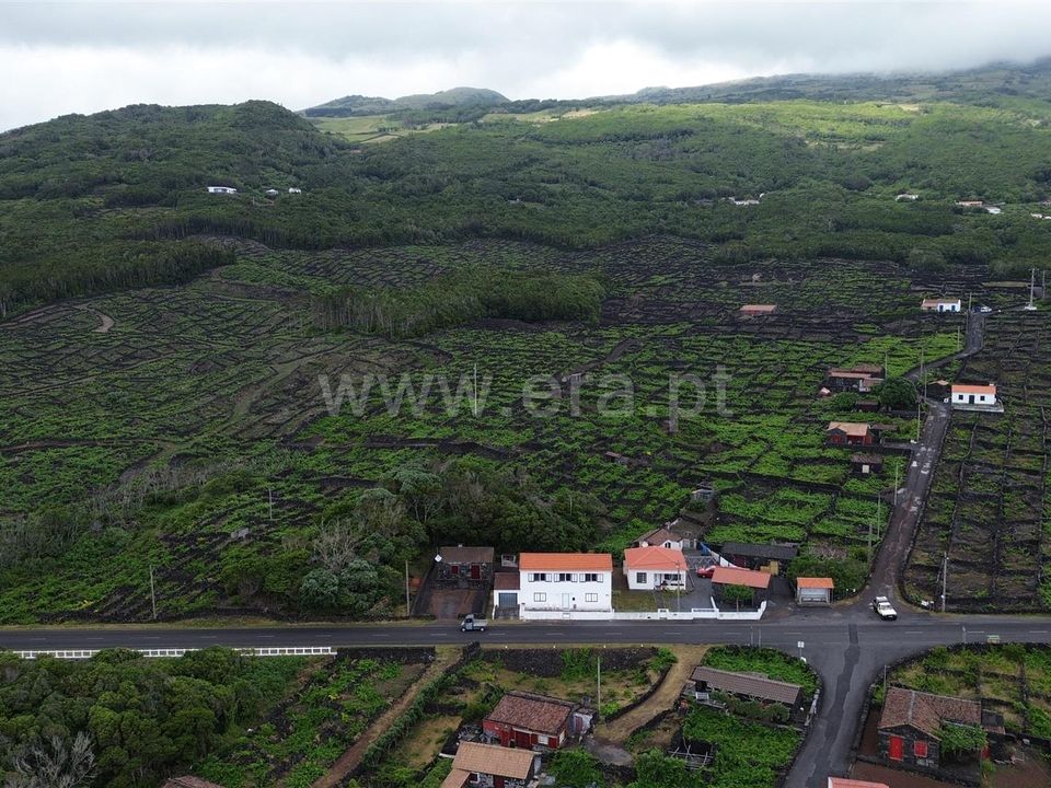 Helårsgrund i Madalena, Pico - foto 4