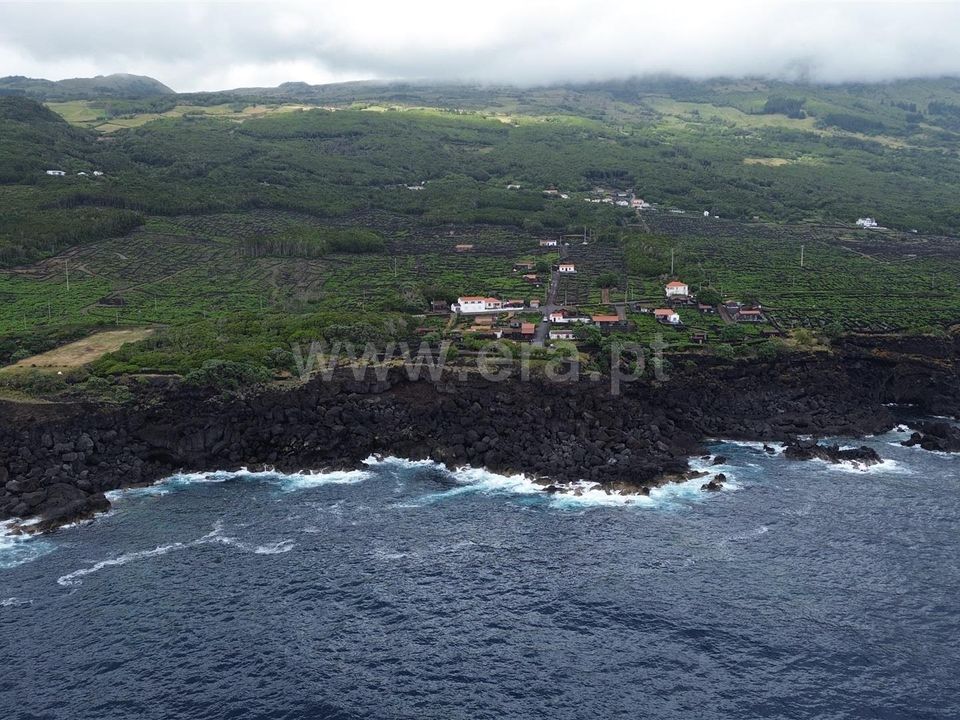 Helårsgrund i Madalena, Pico - foto 5