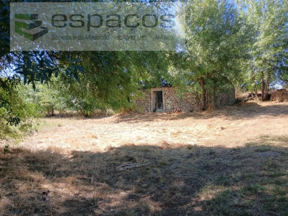 Granja a Castelo Branco, Castelo Branco - foto 2