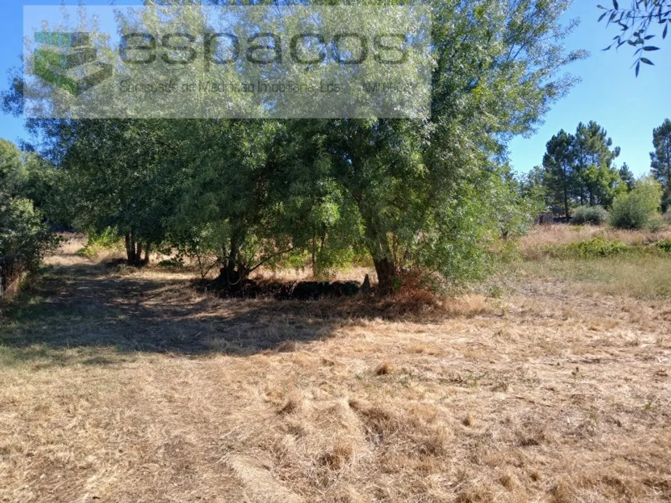 Granja a Castelo Branco, Castelo Branco - foto 4