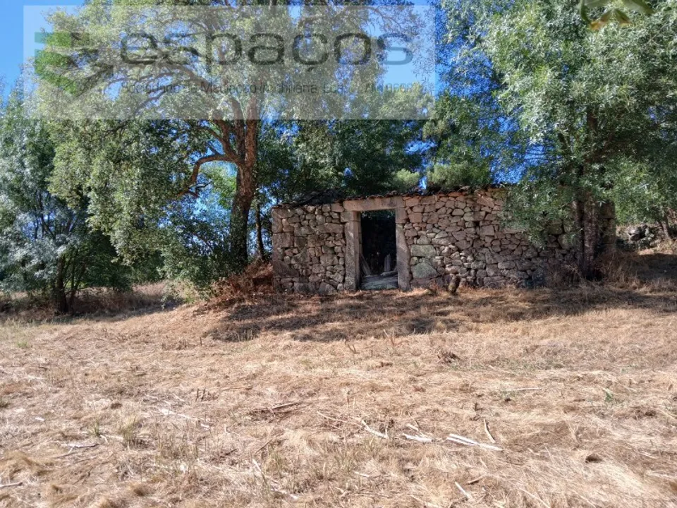 Granja a Castelo Branco, Castelo Branco - foto 1