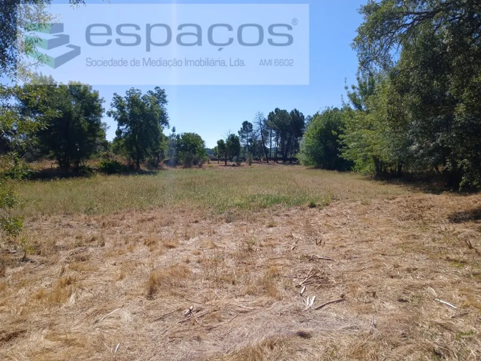 Granja a Castelo Branco, Castelo Branco - foto 5