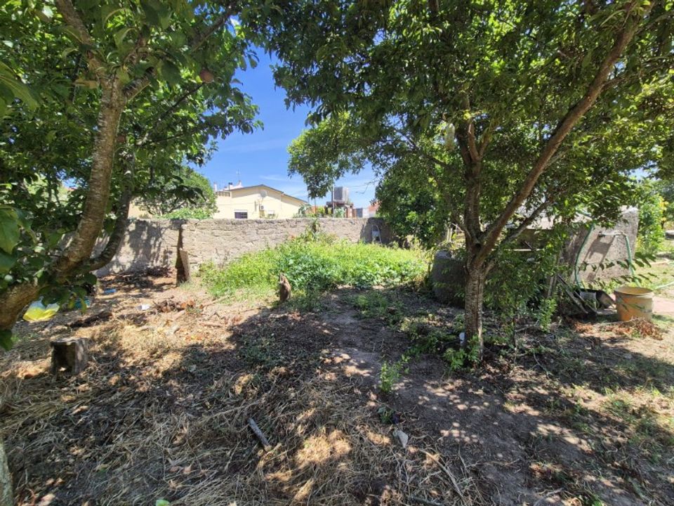 Helårsgrund i Paiao, Coimbra - foto 3
