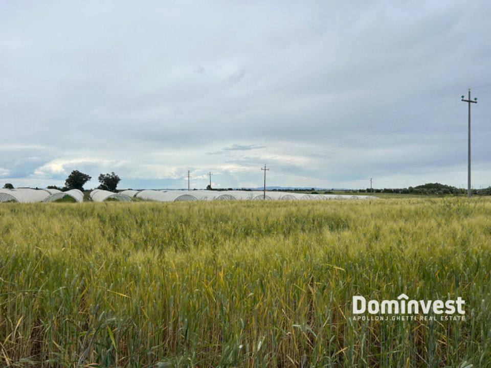 Helårsgrund i Montalto di Castro, Viterbo - foto 1