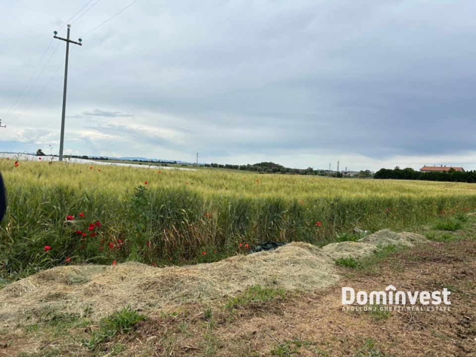 Helårsgrund i Montalto di Castro, Viterbo - foto 2