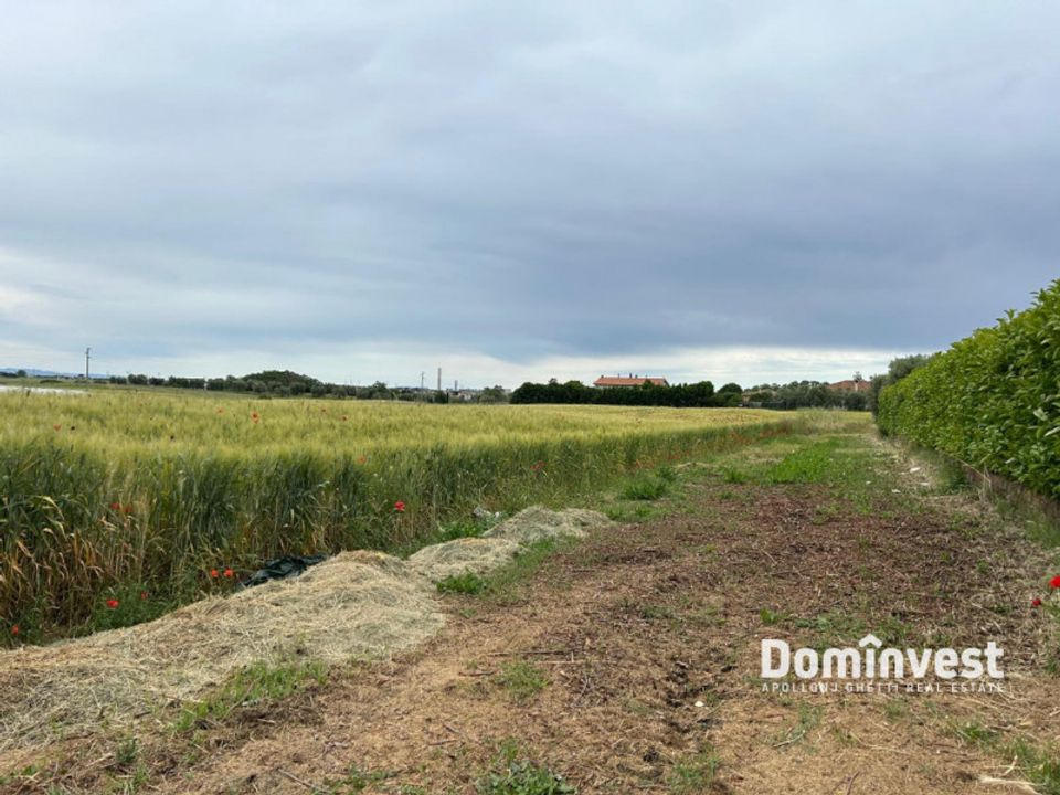 Helårsgrund i Montalto di Castro, Viterbo - foto 3