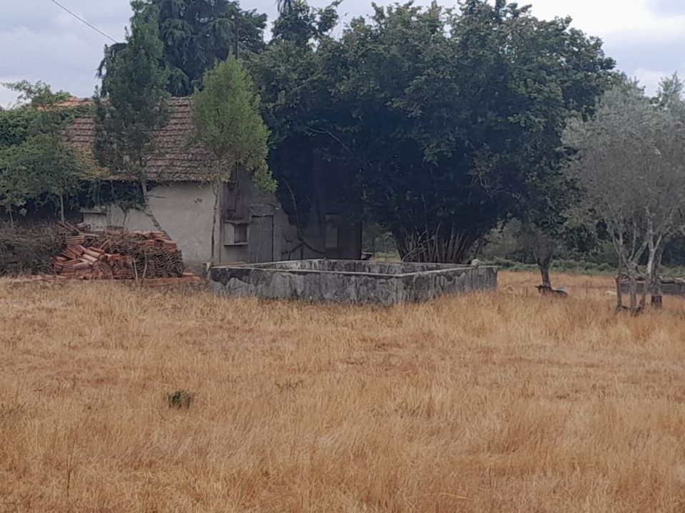 Helårsgrund i Oliveira do Conde, Viseu - foto 2