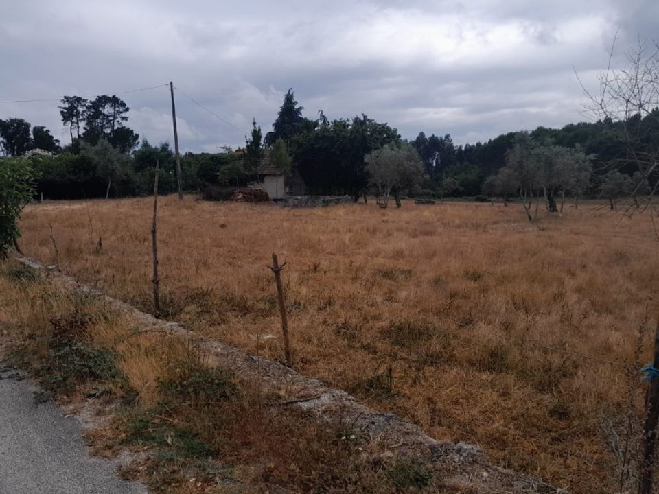 Helårsgrund i Oliveira do Conde, Viseu - foto 4