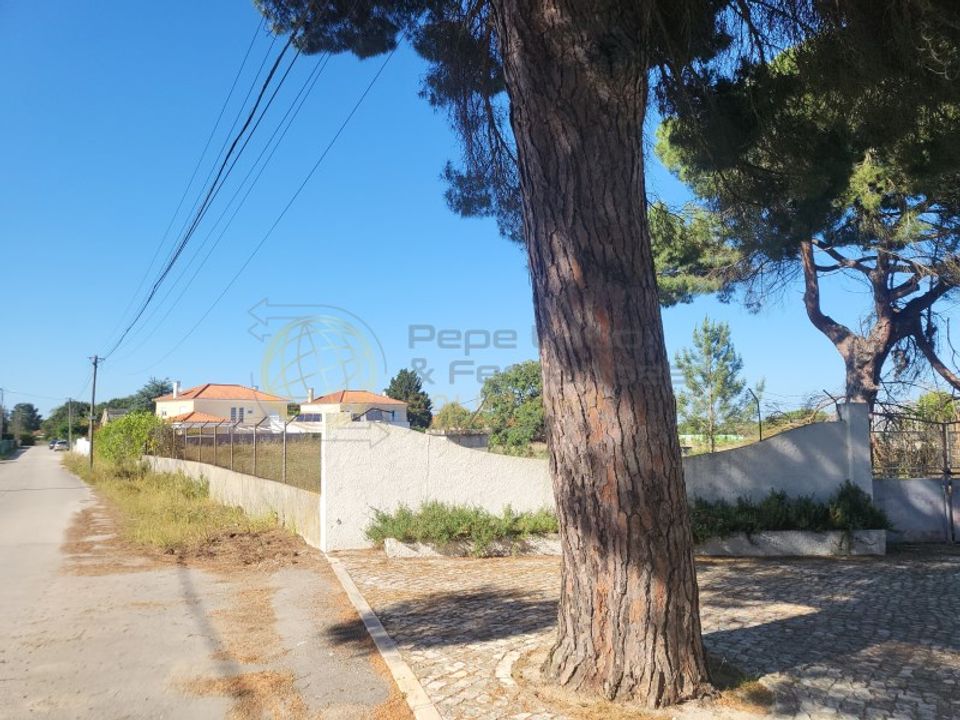 Helårsgrund i Palmela, Setubal - foto 3