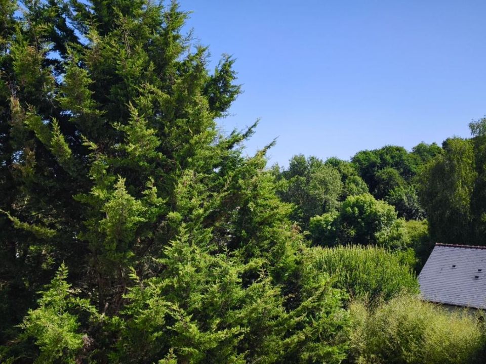 Lejlighed i Orvault, Loire-Atlantique - foto 2