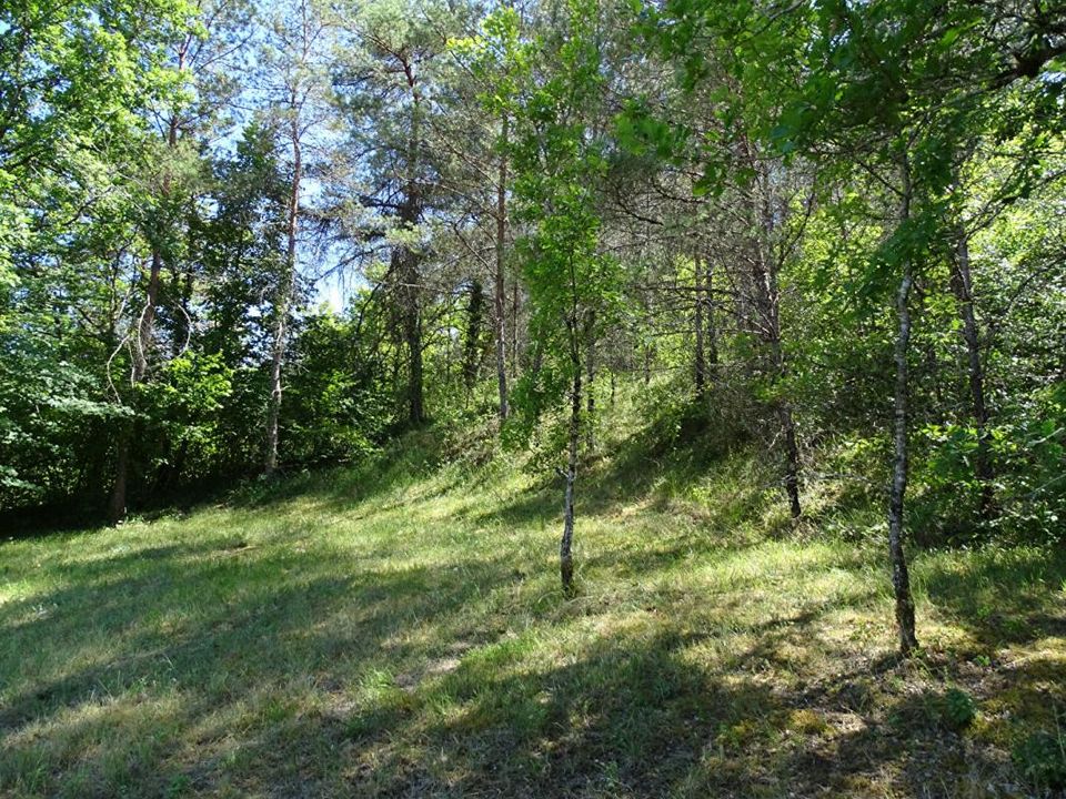 Terreno en Auriac-Du-Perigord, Dordogne - foto 4